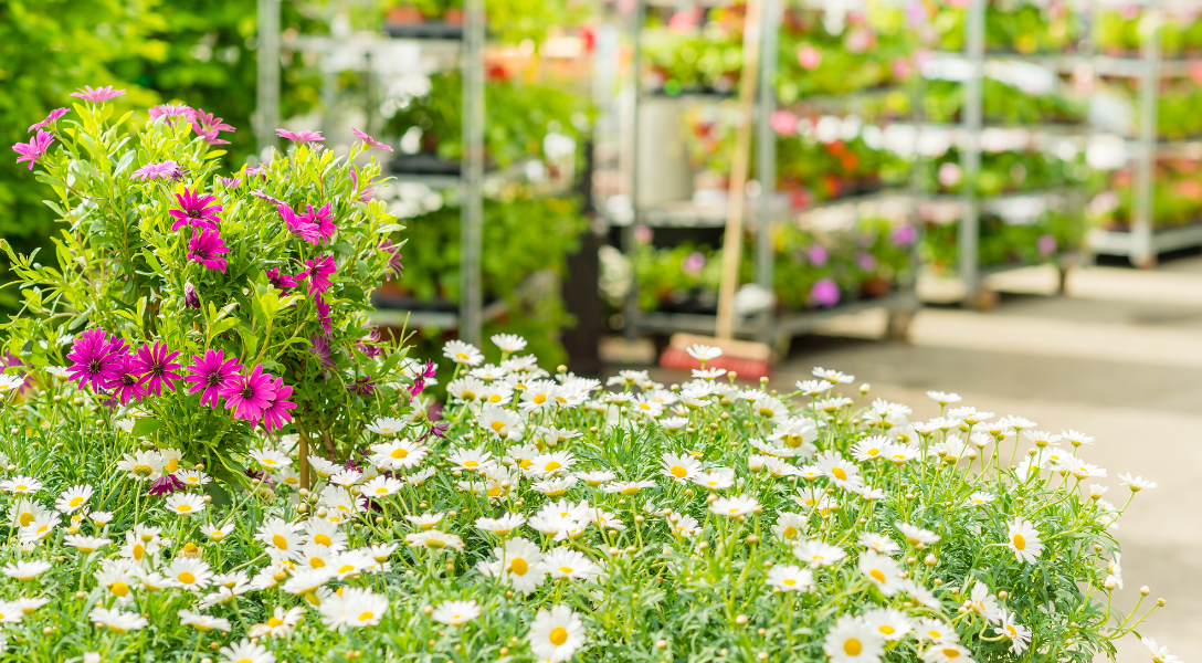 Top Tips for Making Friends While Living in Student Accommodation5